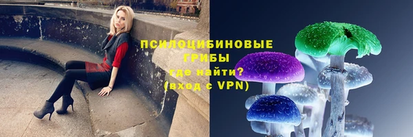 индика Баксан