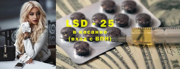 индика Баксан