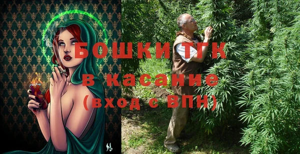 индика Баксан