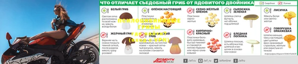 индика Баксан