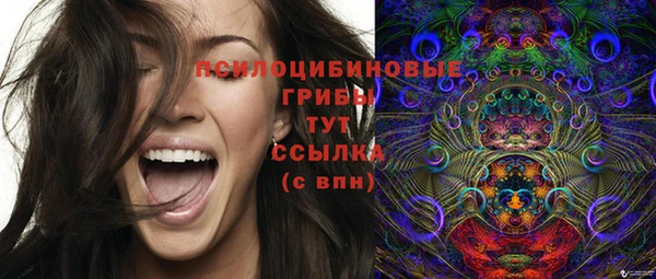 прущий лед Балахна